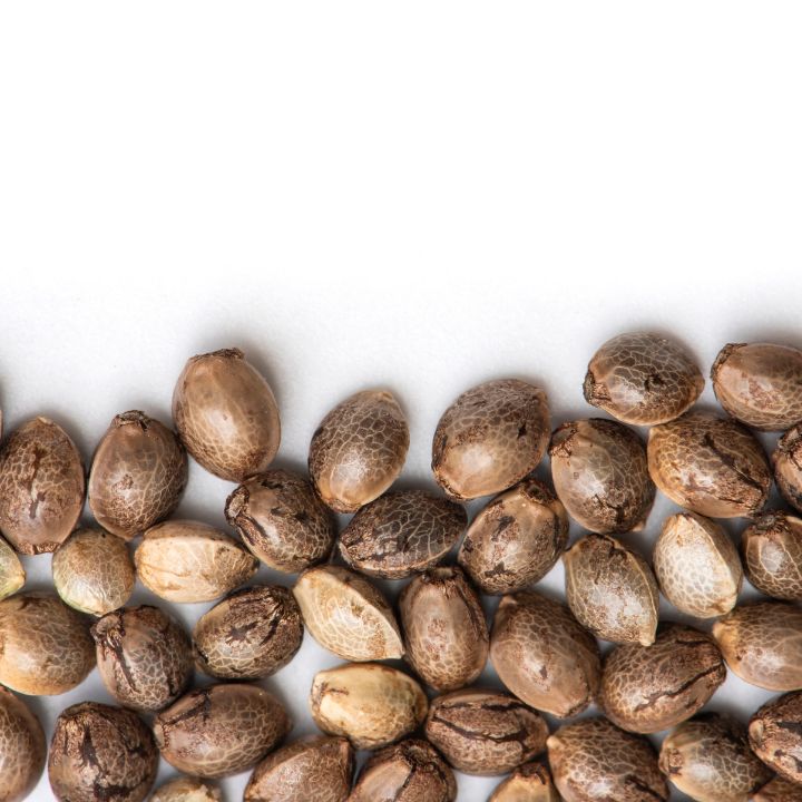 Easy Button Grow Kit